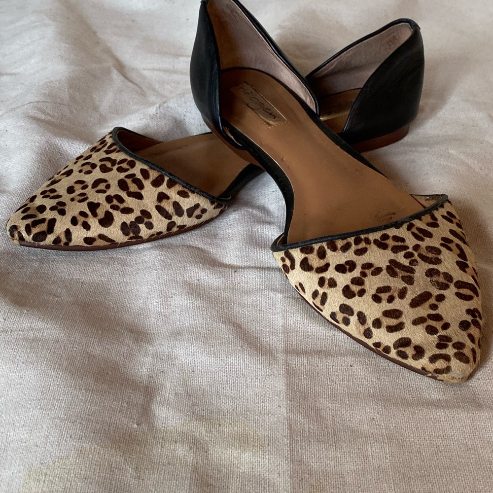 Halogen cheetah flats